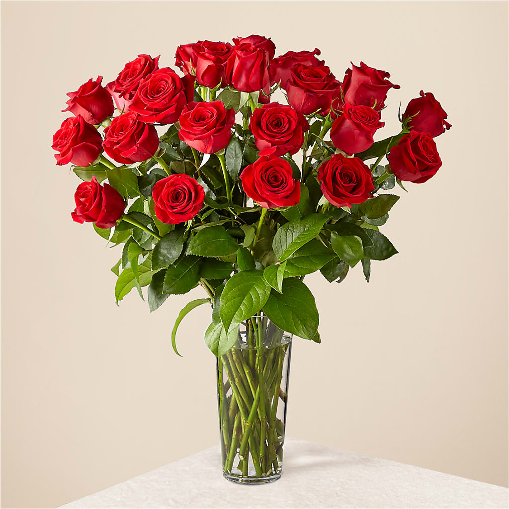 Romantic Roses