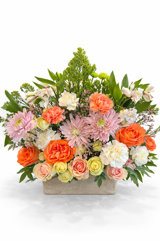 Coral Garden Elegance